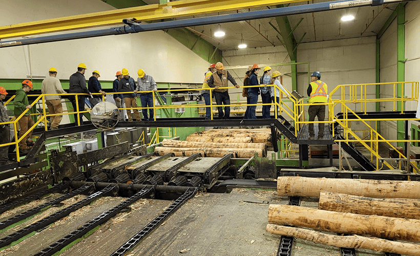 View inside facility showing logs being processed