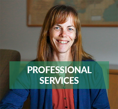 Professional Services